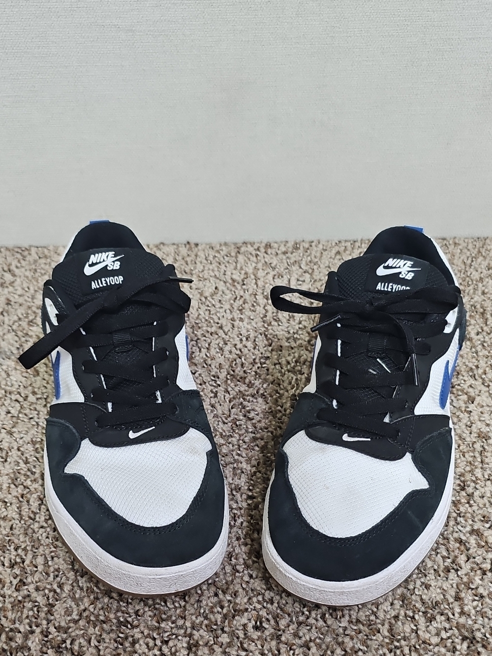 NIKE SB ALLEYOOP MENS SNEAKERS BFPM-09-047